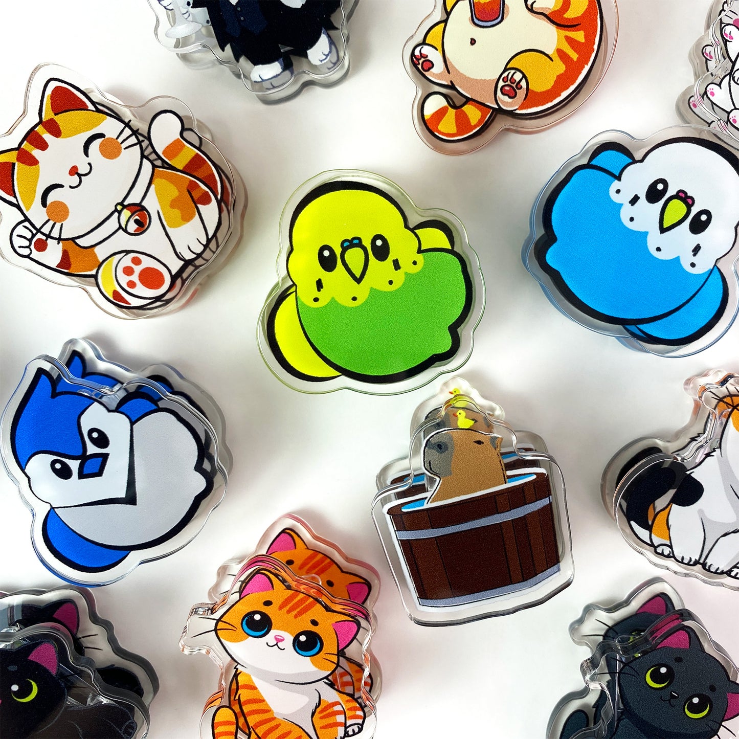 Capybara Hot Tub Acrylic Clips