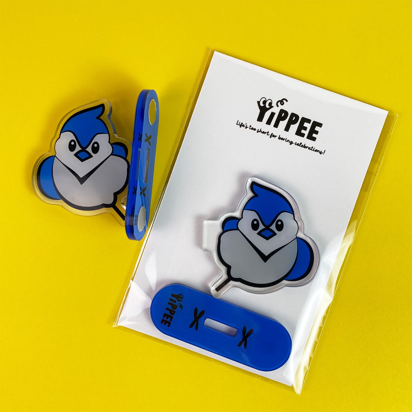 Curious Blue Jay – Magnet