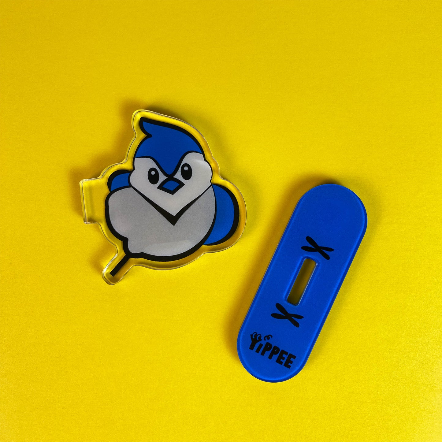 Curious Blue Jay – Magnet