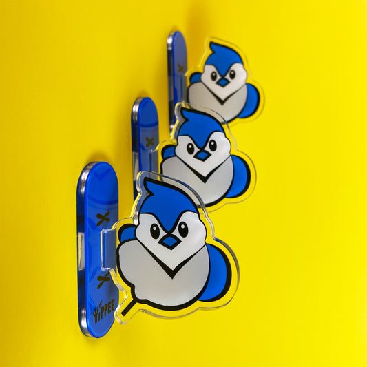 Curious Blue Jay – Magnet