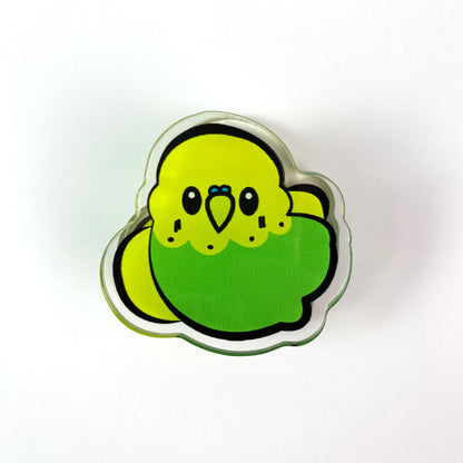 Budgerigar Acrylic Clips
