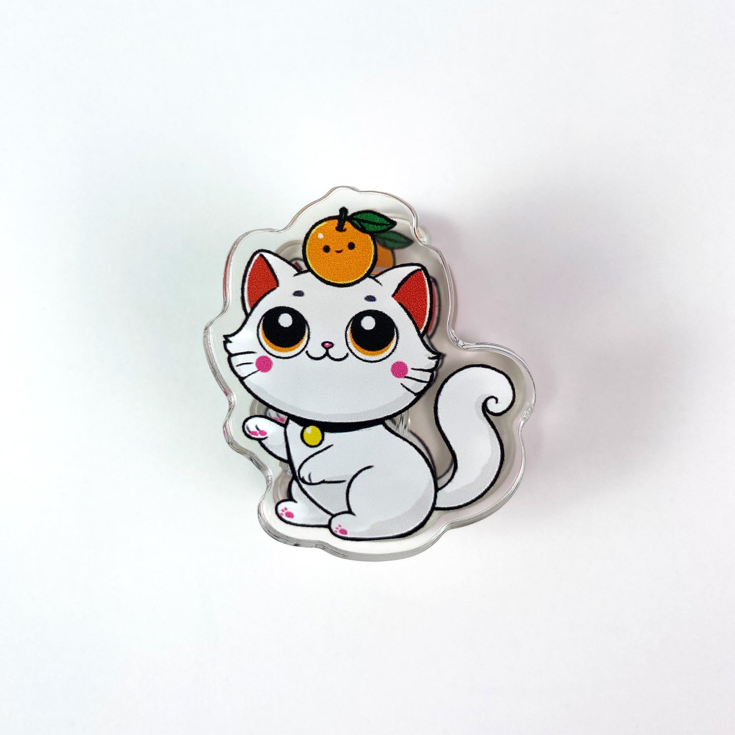 Orange You Glad Acrylic Clips