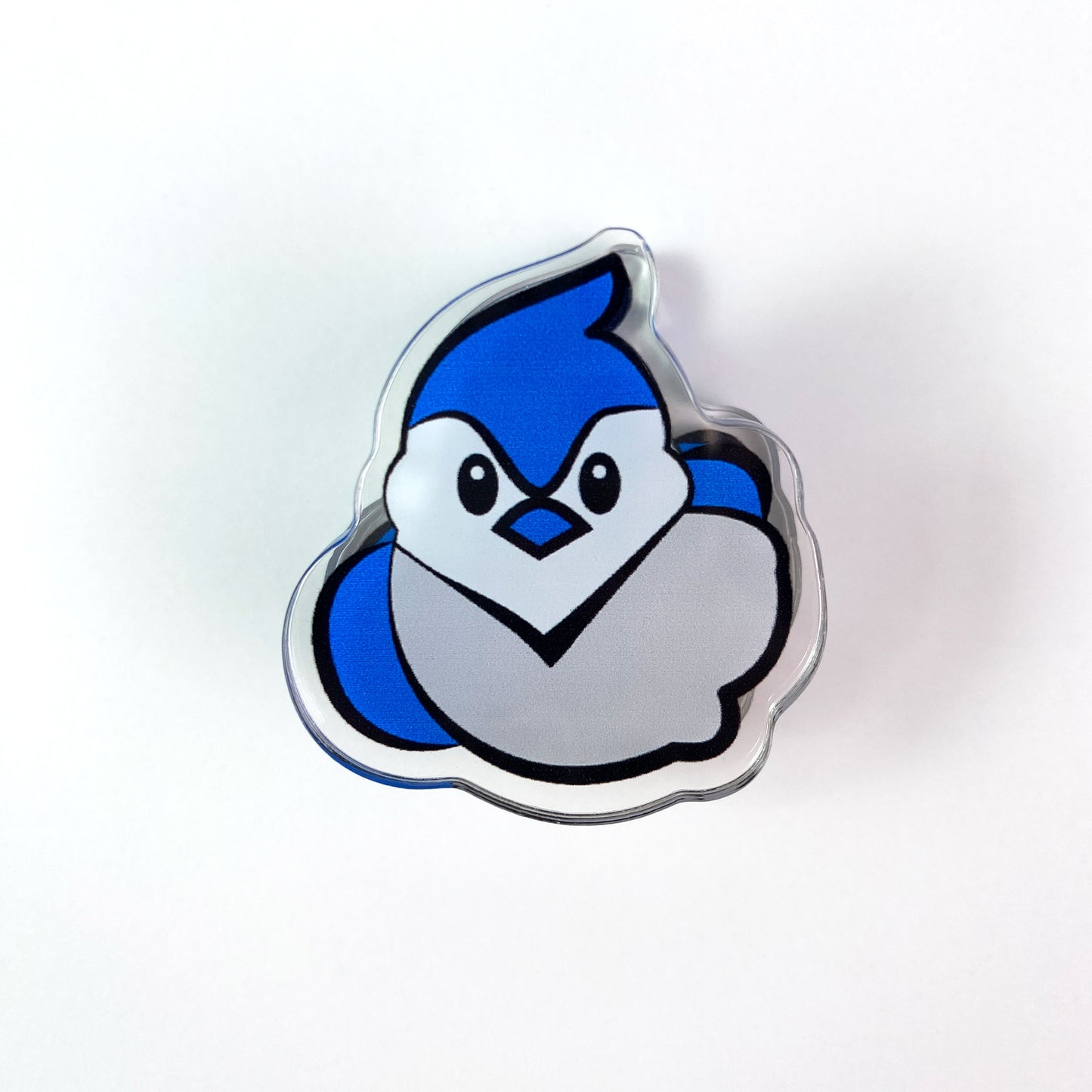 Blue Jay Acrylic Clips