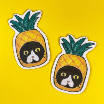 Cat in Pineapple – Magnet