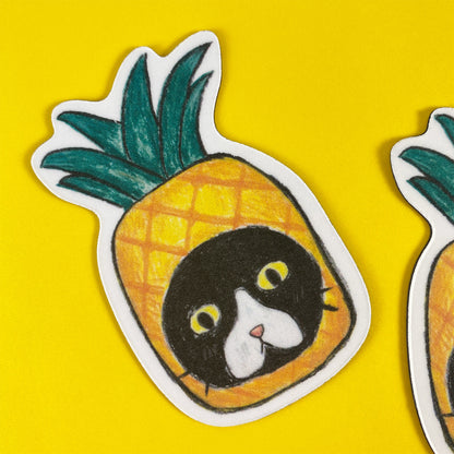 Cat in Pineapple – Magnet